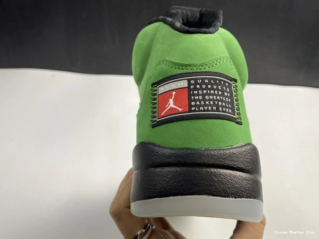 Jordan 5 Ducks SE CK6631-307 Oregon Air 0811